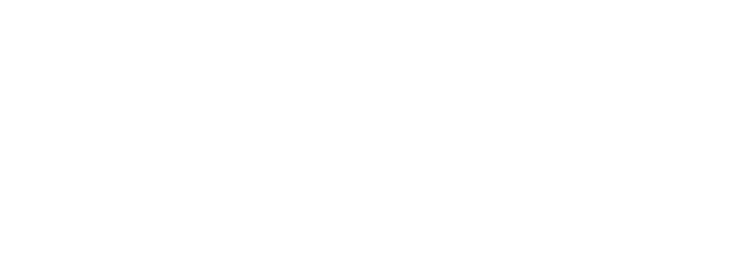 Sly'D logo